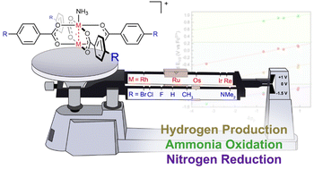 Graphical abstract: Computational analysis of metal–metal bonded dimetal tetrabenzoate redox potentials in the context of ammonia oxidation electrocatalysis