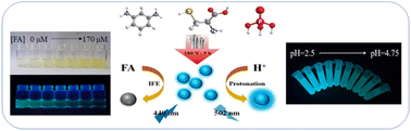 Graphical abstract: High luminescent N,S,P co-doped carbon dots for the fluorescence sensing of extreme acidity and folic acid