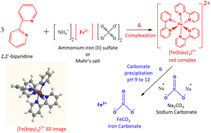 Graphical abstract: Carbon dioxide sequestration by mineral carbonation via iron complexation using bipyridine chelating ligands