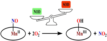 Graphical abstract: Reaction of a nitrosyl complex of Mn(ii)–porphyrinate with superoxide: NOD activity is favoured over SOD activity