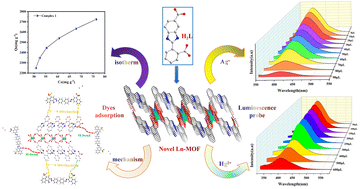 Graphical abstract: Effective detection of Ag+, Hg2+ and dye adsorption properties studies of Ln-MOFs based on a benzimidazole carboxylic acid ligand