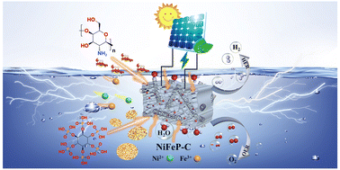 Graphical abstract: Bio-inspired design of NiFeP nanoparticles embedded in (N,P) co-doped carbon for boosting overall water splitting