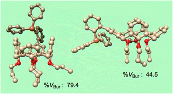Graphical abstract: Structural and conformational analysis of a biaryl phosphine integrating a calix[4]arene cavity. Can the phosphorus atom behave as an introverted donor?