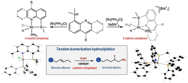 Graphical abstract: Catalytic activation of remote alkenes through silyl-rhodium(iii) complexes