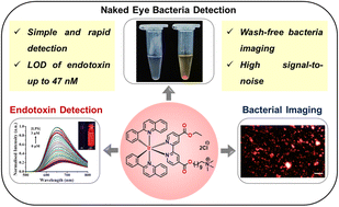 Graphical abstract: AIE-active cyclometalated iridium(iii) complexes for the detection of lipopolysaccharides and wash-free imaging of bacteria