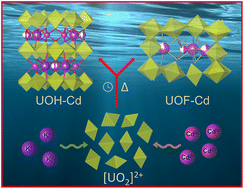 Graphical abstract: Exploring the influence of pH on the structural intricacies of uranium oxide hydrates containing both Cd(ii) and K(i) ions