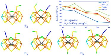 Graphical abstract: N2 binding to the E0–E4 states of nitrogenase