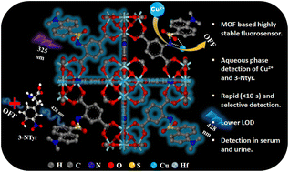 Graphical abstract: A fluorophore anchored MOF for fast and sensitive sensing of Cu(ii) and 3-nitrotyrosine in a physiological medium