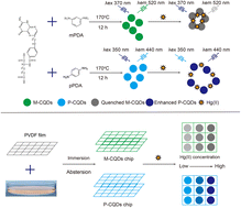 Graphical abstract: Synthesis of two nitrogen-doped carbon quantum dots to construct fluorescence probes for sensitive Hg2+ detection with dual signal output