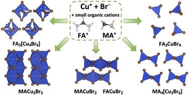 Exceptional structural diversity of hybrid halocuprates(i) with methylammonium and formamidinium cations