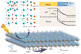 Graphical abstract: Modulating the Schottky barrier of Pt/PbTiO3 for efficient piezo-photocatalytic hydrogen evolution