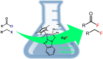 Graphical abstract: Cobalt-catalysed nucleophilic fluorination in organic carbonates