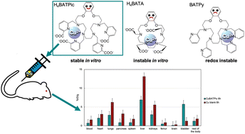 Graphical abstract: Effect of the type of N-substituent in the benzo-18-azacrown-6 compound on copper(ii) chelation: complexation, radiolabeling, stability in vitro, and biodistribution in vivo