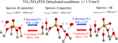 Graphical abstract: Heterogeneity of the vanadia phase dispersed on titania. Co-existence of distinct mono-oxo VOx sites