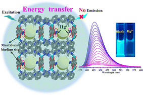 Graphical abstract: A water stable and highly fluorescent Zn(ii) based metal–organic framework for fast detection of Hg2+, CrVI, and antibiotics