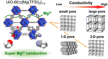 Graphical abstract: High Mg2+ conduction in three-dimensional pores of a metal–organic framework under organic vapors