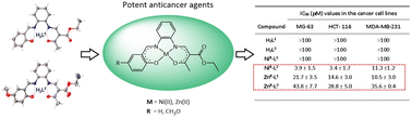 Graphical abstract: Anticancer activity of Ni(ii) and Zn(ii) complexes based on new unsymmetrical salophen-type ligands: synthesis, characterization and single-crystal X-ray diffraction