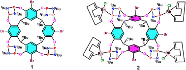 Graphical abstract: Synthesis and characterization of the cyclodiphosphazane embedded macrocycle tetrabromo-resorcin[4]arene-tetrakis(cyclodiphosphazane) and its tetra-rhodium(i) complex