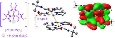 Graphical abstract: Multicenter interactions and ligand field effects in platinum(ii) tripyrrindione radicals