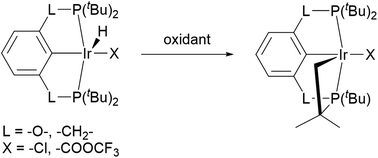 Graphical abstract: Oxidation-induced C–H bond activation in iridium pincer complexes