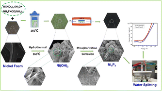 Graphical abstract: Single-phase ultrathin holey nanoflower Ni5P4 as a bifunctional electrocatalyst for efficient water splitting