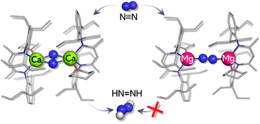 Graphical abstract: Activation of the N2 molecule by means of low-valence complexes of calcium and magnesium