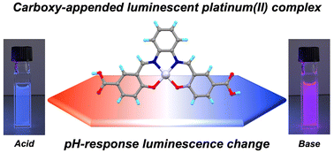 Graphical abstract: pH-driven optical changes of platinum(ii) complexes having carboxy-appended salophen ligands