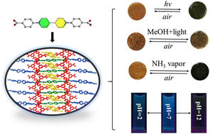 Graphical abstract: A viologen-based Cd(ii) coordination polymer as a multifunctional platform for photochromism, chemochromism and a broad range of fluorescence pH sensing