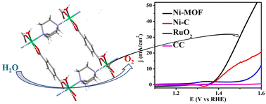 Graphical abstract: A water coordinated Ni complex and a 2D Ni-MOF: topology dependent highly enhanced electrocatalytic OER activity