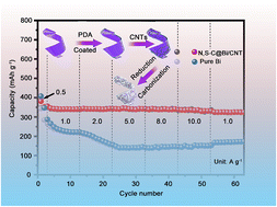 Graphical abstract: Bi nanoparticles confined in N,S co-doped carbon nanoribbons with excellent rate performance for sodium-ion batteries