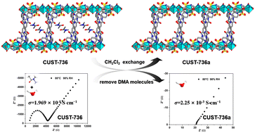Graphical abstract: Enhanced proton conductivity by guest molecule exchange in an acylamide-functionalized metal–organic framework