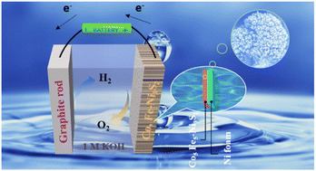 Graphical abstract: Active-site-enriched dendritic crystal Co/Fe-doped Ni3S2 electrocatalysts for efficient oxygen evolution reaction