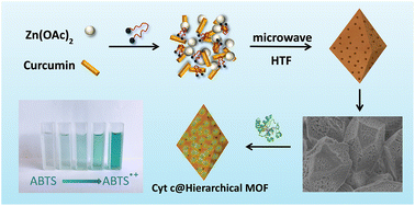 Graphical abstract: Surfactant-assisted mesopores in hierarchical metal–organic frameworks for the immobilization of model protein Cyt c