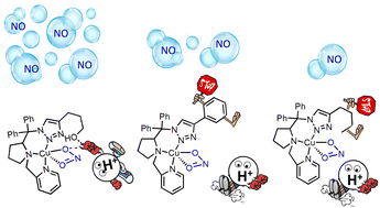 Graphical abstract: Biomimetic catalysis of nitrite reductase enzyme using copper complexes in chemical and electrochemical reduction of nitrite