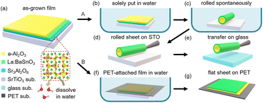 Graphical abstract: Synthesis and transparent conductivity of crack-free La:BaSnO3 epitaxial flexible sheets