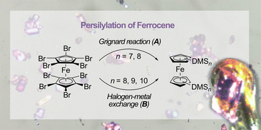 Graphical abstract: Persilylation of ferrocene: the ultimate discipline in sterically overcrowded metal complexes