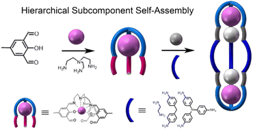 Graphical abstract: Hierarchical subcomponent self-assembly of covalent triple-stranded complexes with 3d–4f vertices: luminescence and magnetic properties