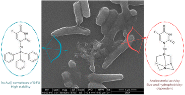Graphical abstract: Antibacterial properties of phosphine gold(i) complexes with 5-fluorouracil