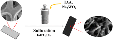 Graphical abstract: The synthesis of W–Ni3S2/NiS nanosheets with heterostructure as a high-efficiency catalyst for urea oxidation