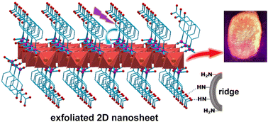 Graphical abstract: Nanosheets of two-dimensional photoluminescent lanthanide phosphonocarboxylate frameworks decorated with free carboxylic groups for latent fingerprint imaging