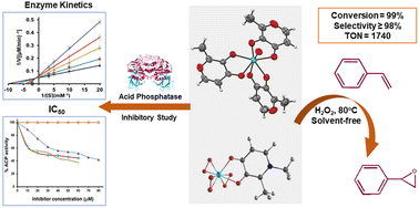 Graphical abstract: Oxido- and mixed-ligand peroxido complexes of niobium(v) as potent phosphatase inhibitors and efficient catalysts for eco-friendly styrene epoxidation