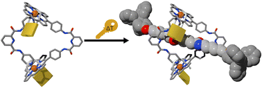 Graphical abstract: A robust heterodimeric bis-Rh(iii)–porphyrin macrocycle for the self-assembly of a kinetically stable [2]-rotaxane