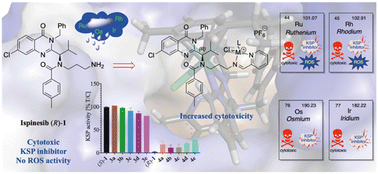 Graphical abstract: Organometallic Ru, Os, Rh and Ir half-sandwich conjugates of ispinesib – impact of the organometallic group on the antimitotic activity