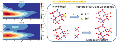 Graphical abstract: Structural composition of antibacterial zinc-doped geopolymers