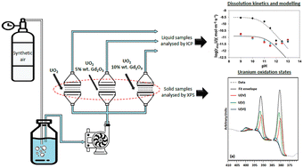 Graphical abstract: Oxidative dissolution mechanism of both undoped and Gd2O3-doped UO2(s) at alkaline to hyperalkaline pH