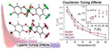 Graphical abstract: Impact of ligand chlorination and counterion tuning on high-field spin relaxation in a series of V(iv) complexes