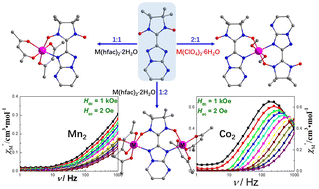 Graphical abstract: Syntheses and magnetic properties of a bis-bidentate nitronyl nitroxide radical based on triazolopyrimidine and its metal complexes
