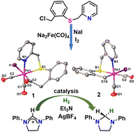 Graphical abstract: Structural and functional biomimetics of [Fe]-hydrogenase featuring a mono-, di- or tetrasubstituted pyridine ligand with a fac-C, N, and S ligation