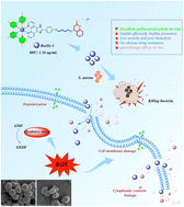 Graphical abstract: Coumarin-modified ruthenium complexes by disrupting bacterial membrane to combat Gram-positive bacterial infection