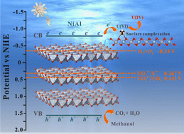 Graphical abstract: Adsorption-photoreduction behaviors and mechanisms of layered double hydroxide loaded on uranium(vi) removal